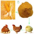 Poultry Food Corn Gluten Meal Protein Powder